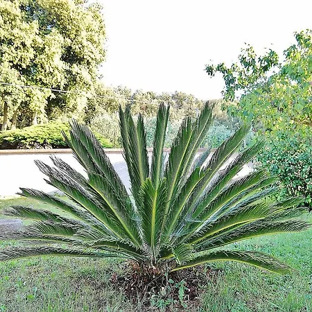شقة Ducic 254 *