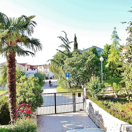 Ducic 254 بولا